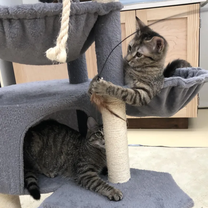 Mia & Martha thumbnail 2