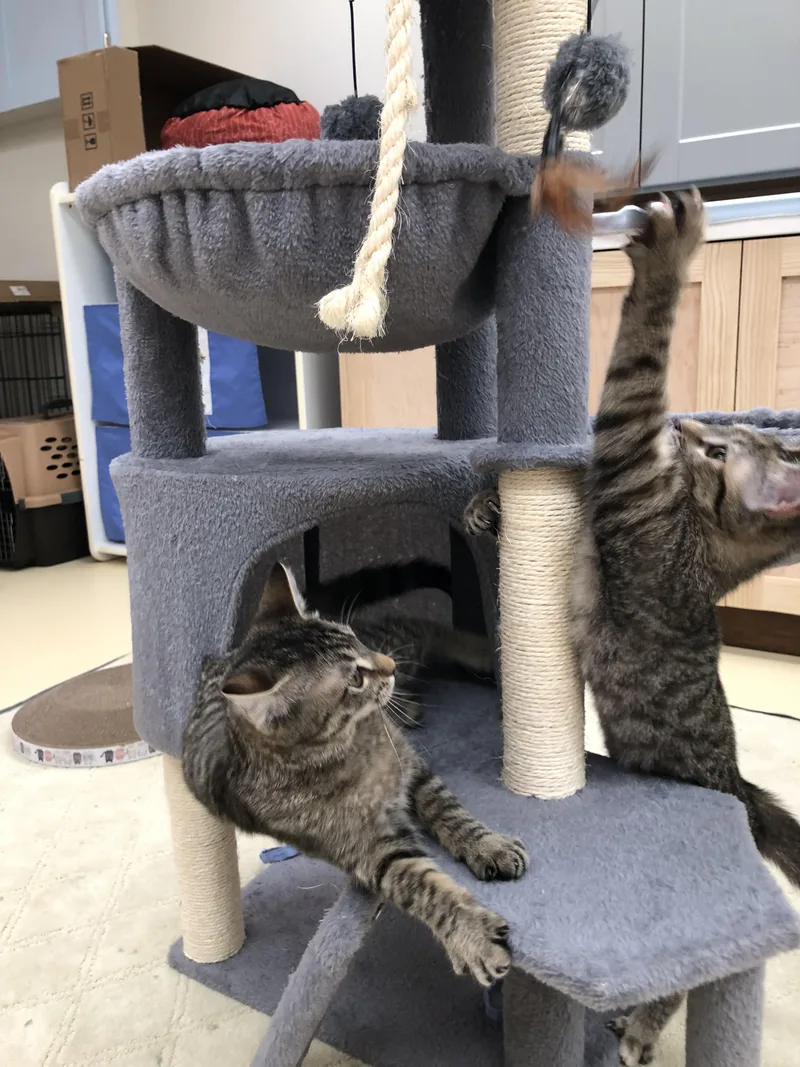 Mia & Martha thumbnail 3