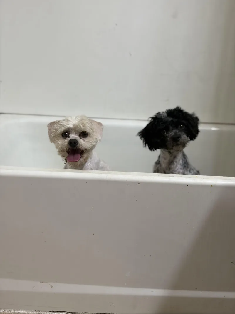 Lucy Lou Love thumbnail 2