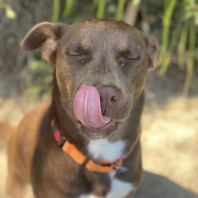 Sammie thumbnail 3