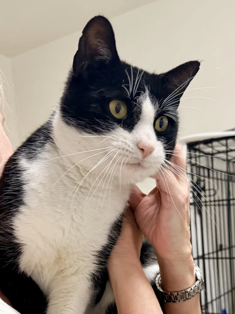 George  Willow Grove thumbnail 2