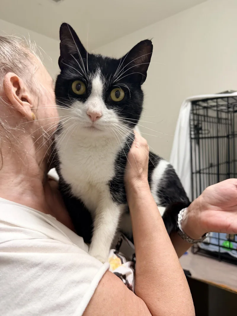 George  Willow Grove thumbnail 3