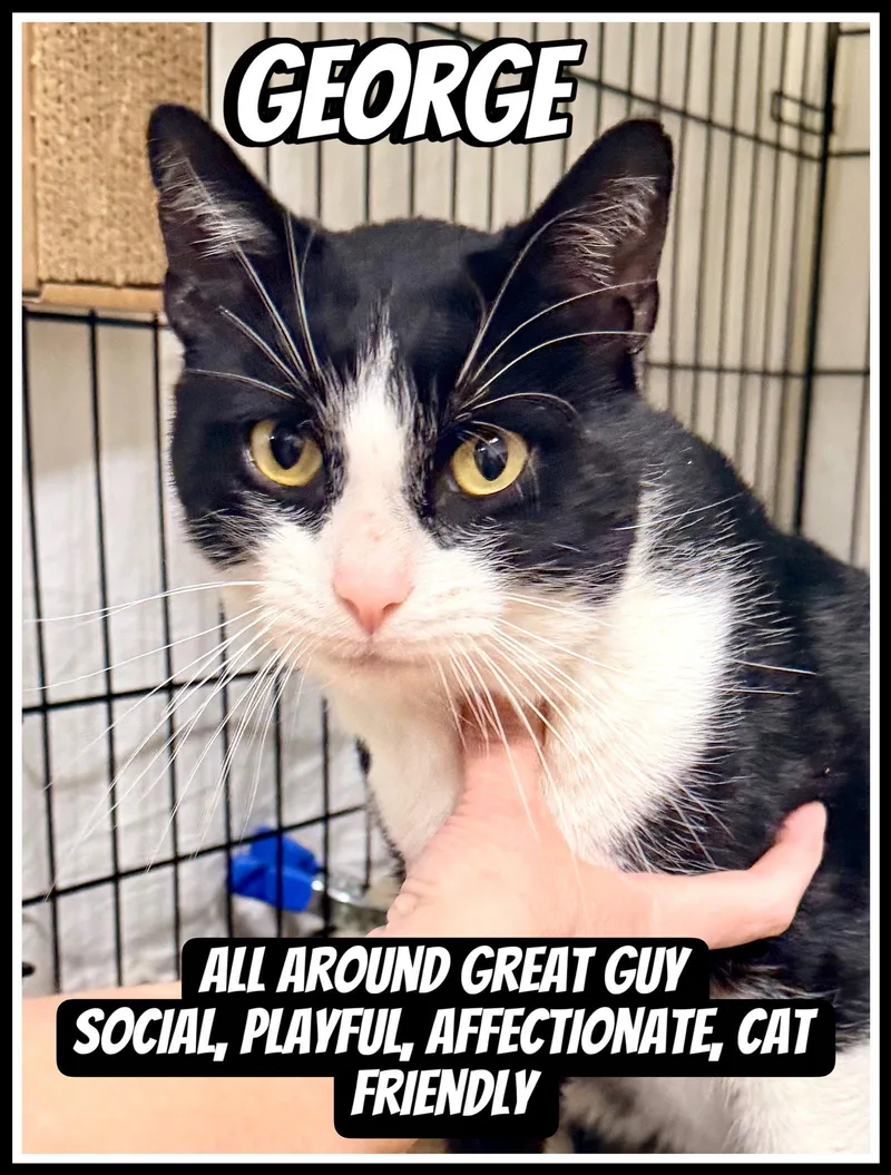 George  Willow Grove