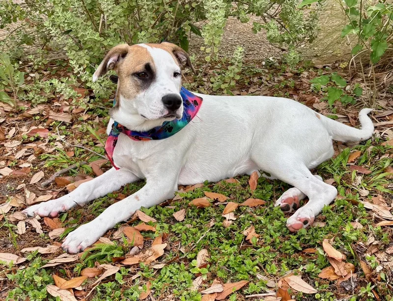 Ginny  Sweet Girl thumbnail 4