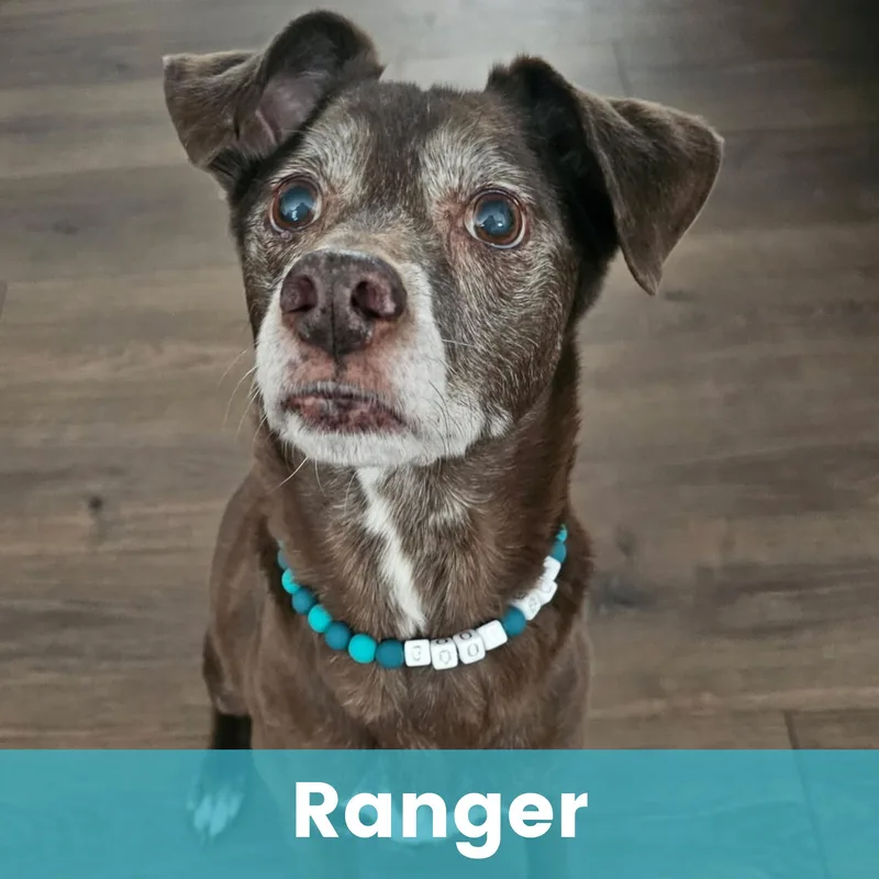 Ranger thumbnail 3