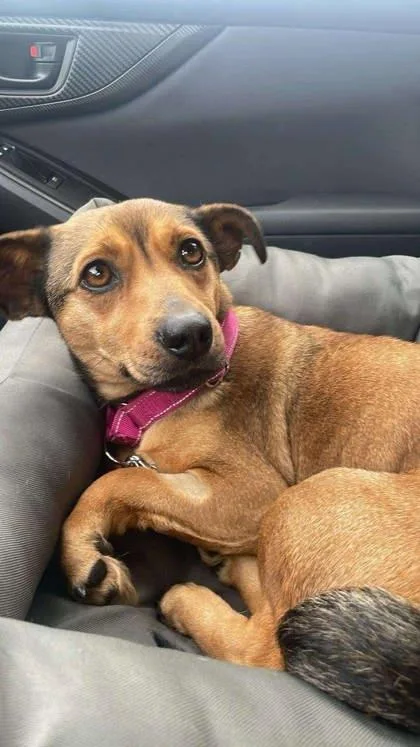 Valentina thumbnail 2