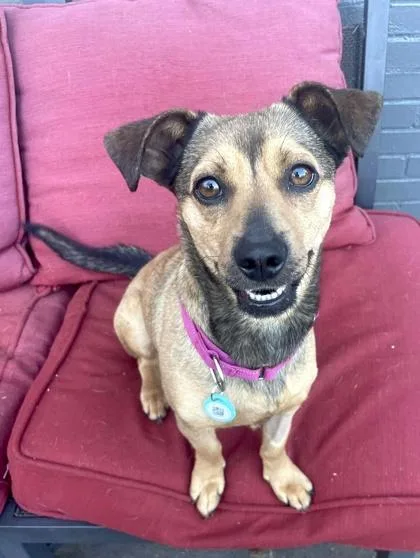 Valentina thumbnail 3