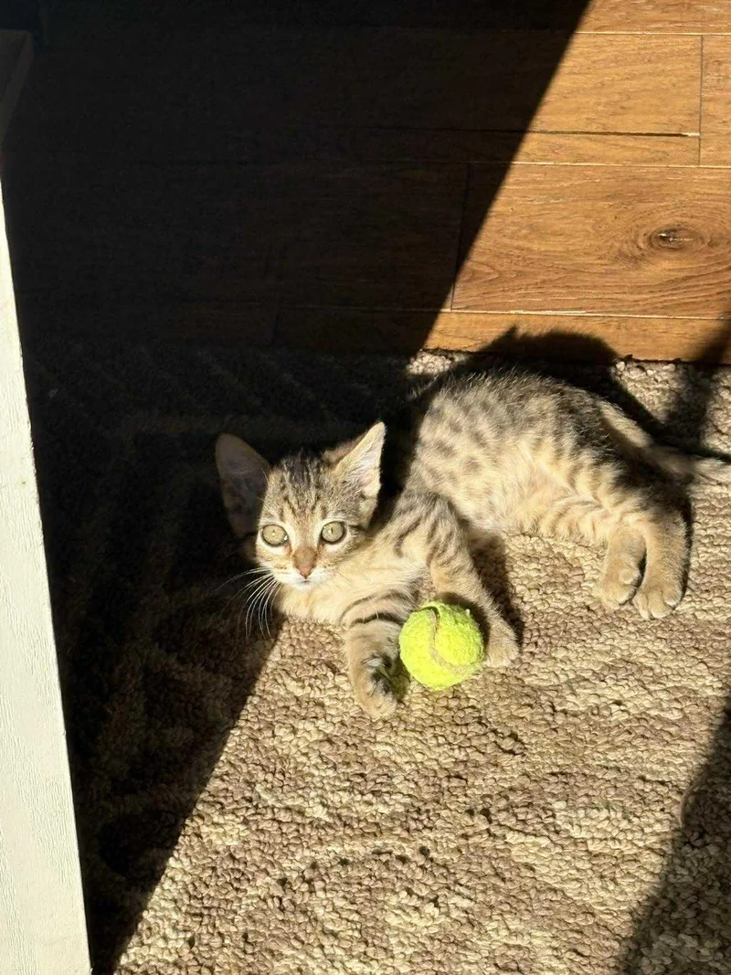 Billy Ray thumbnail 2