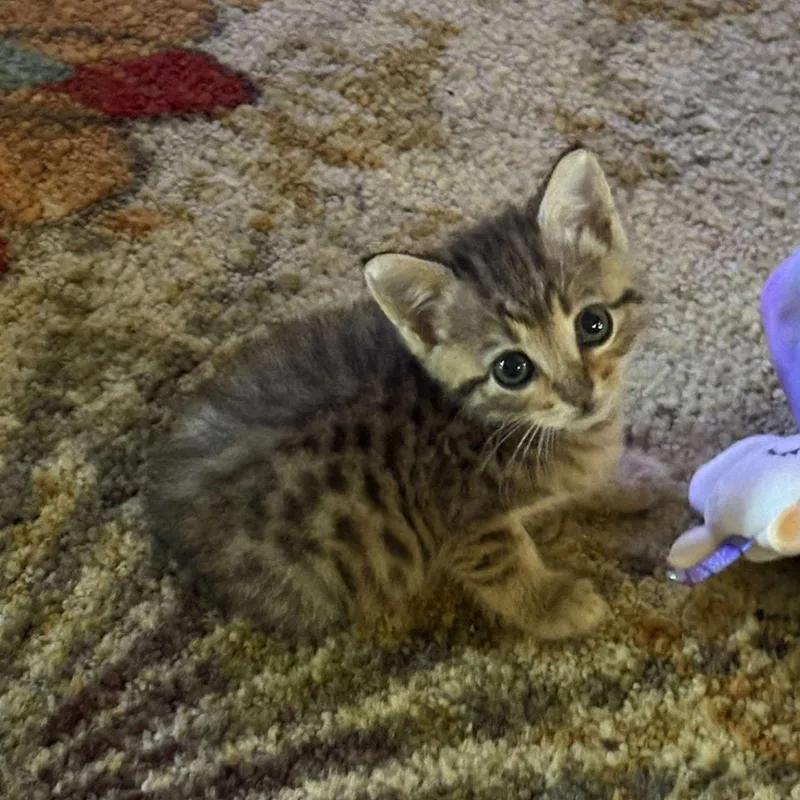 Billy Ray thumbnail 3