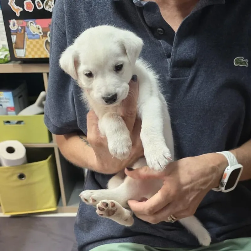 Casper thumbnail 2