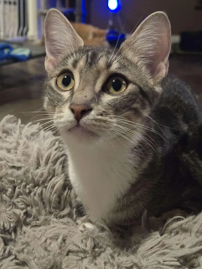 Sonny thumbnail 2