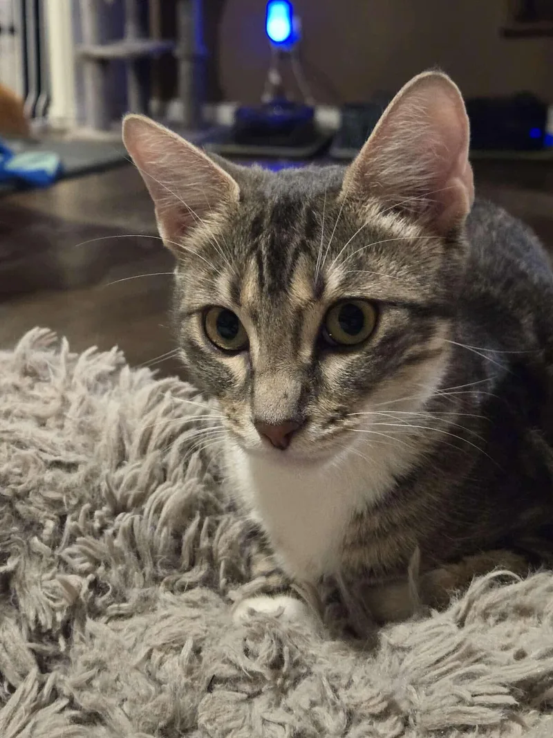 Sonny thumbnail 3