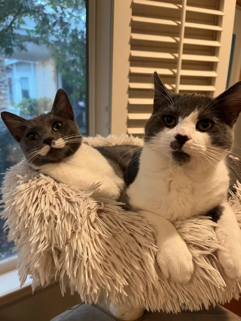 Stella & Poppy thumbnail 3