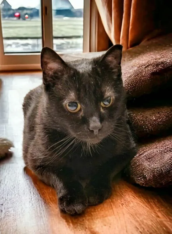 Fritz Fiv+ thumbnail 2