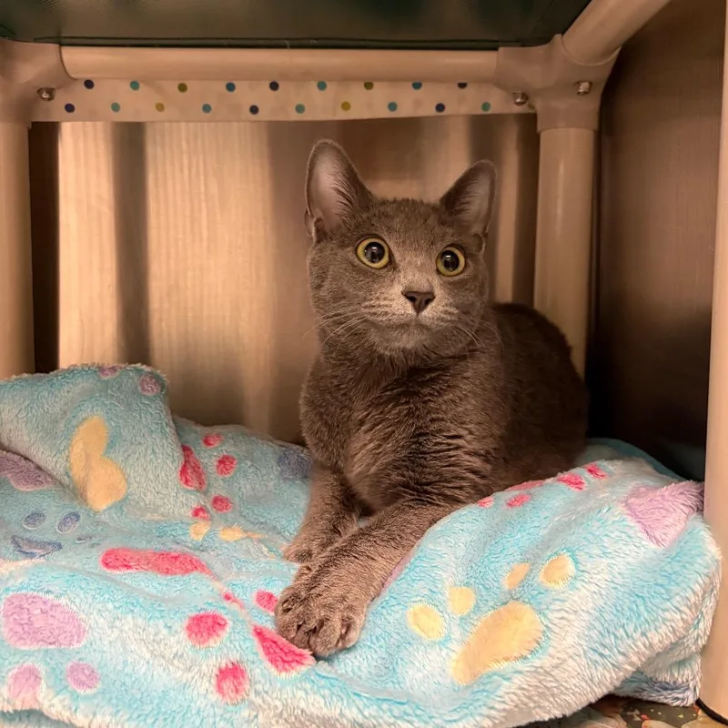 Riesling thumbnail 2