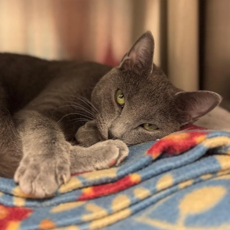 Riesling thumbnail 3