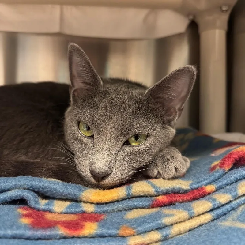 Riesling thumbnail 5