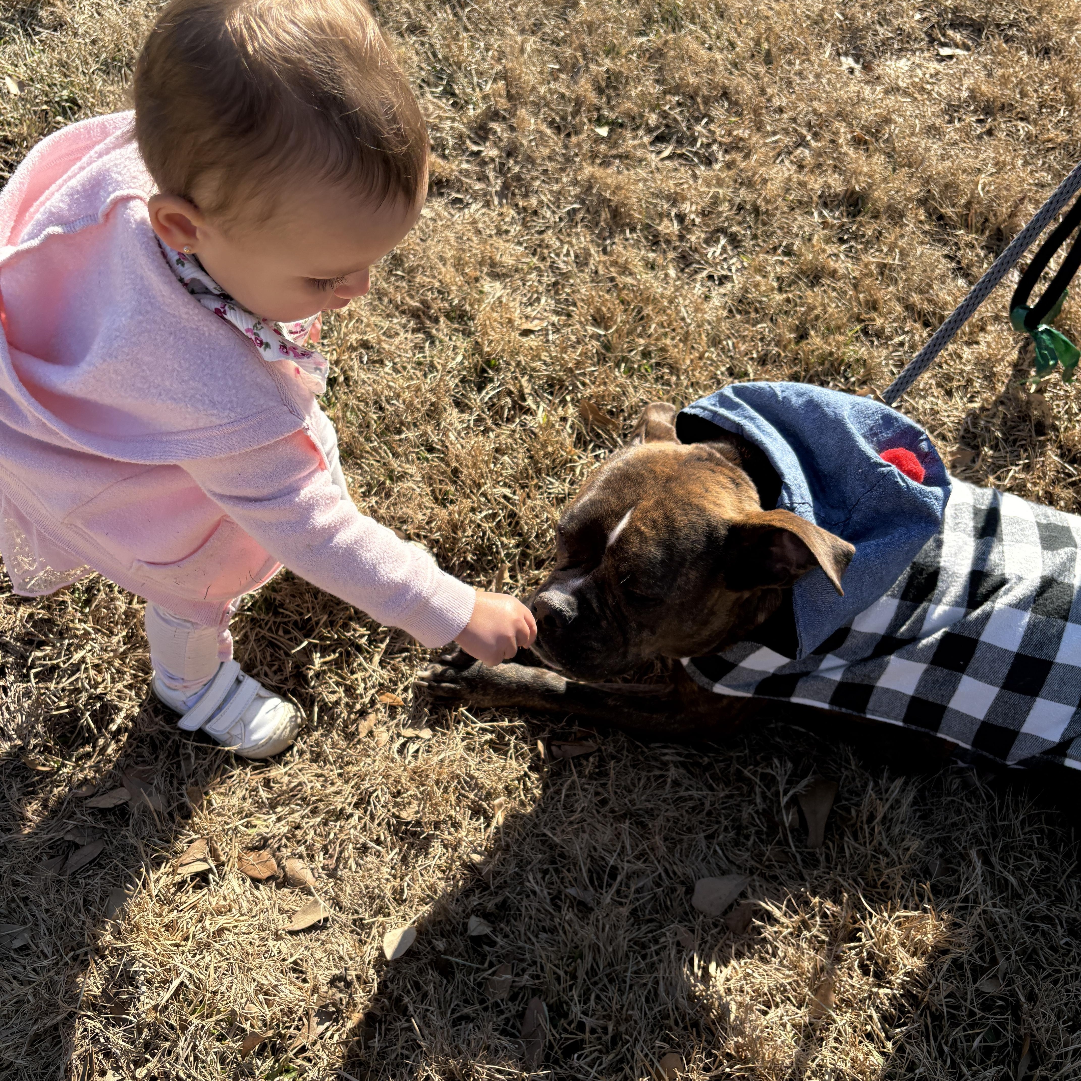 Maiya Cuddler of the thumbnail 4