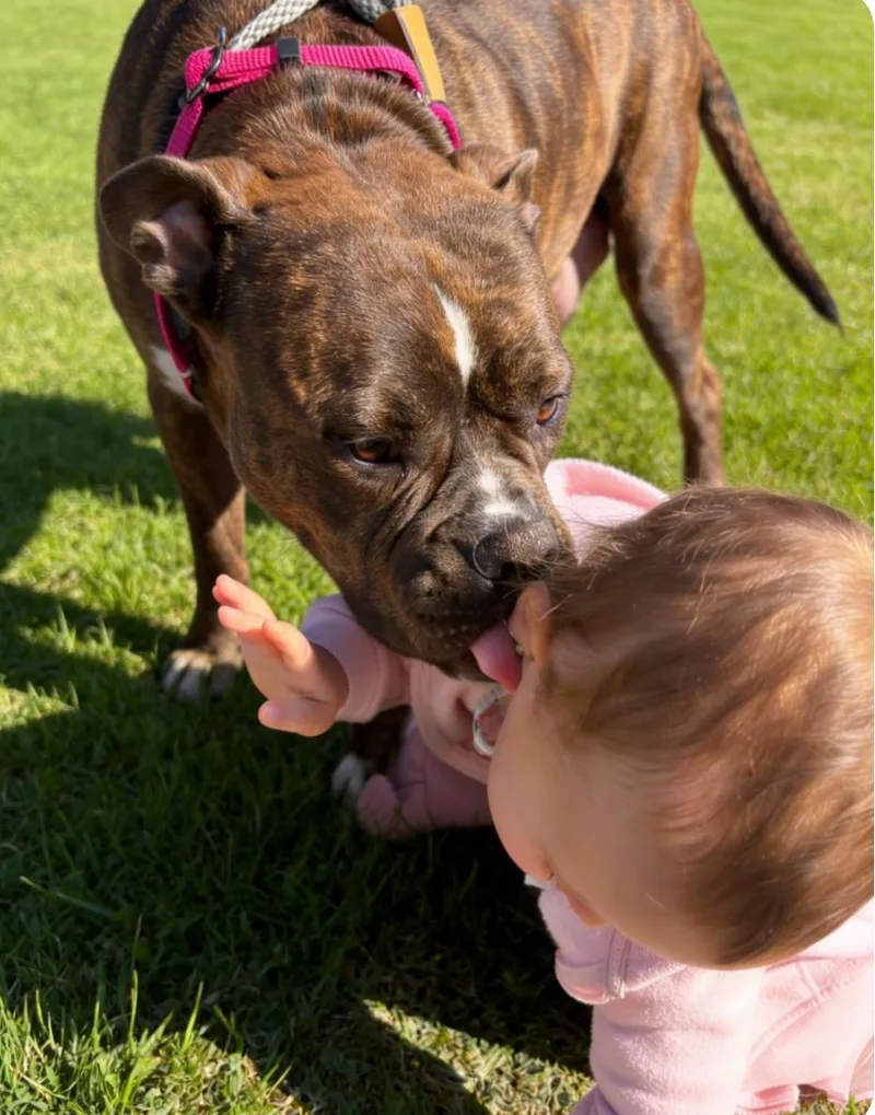 Maiya Cuddler of the thumbnail 5