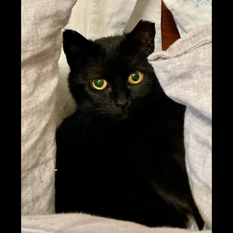 Dottie thumbnail 2
