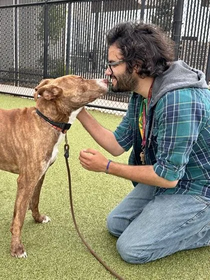 Skyrim Giant thumbnail 3