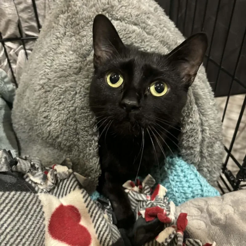 Speedy & Flipper thumbnail 3