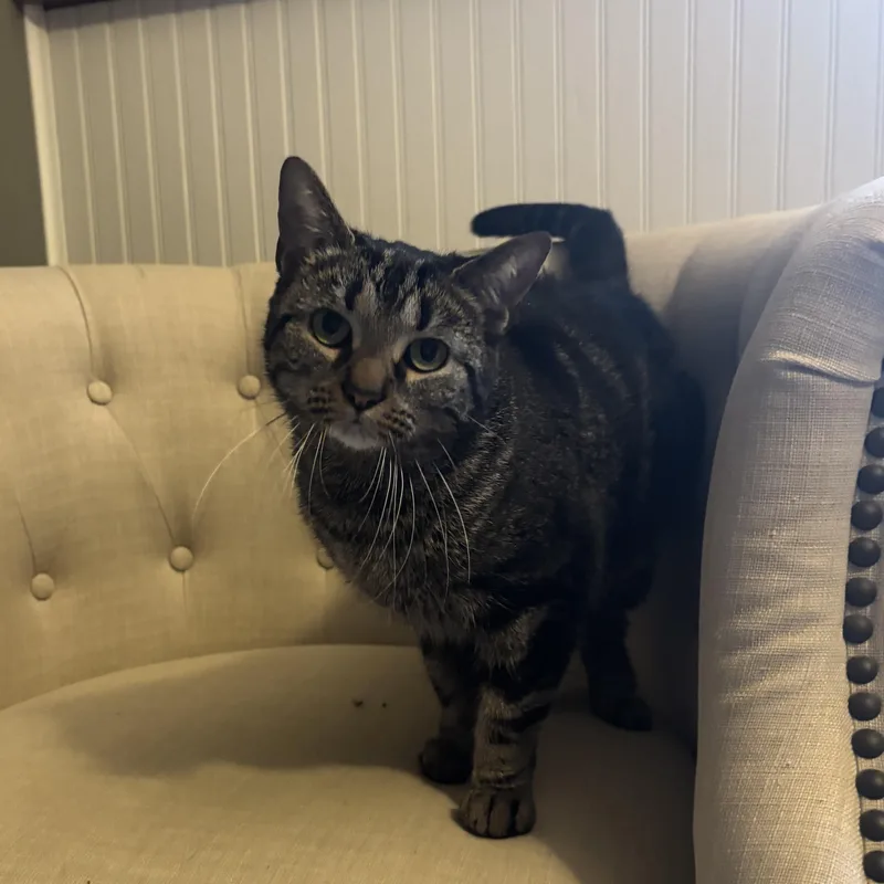 Speedy & Flipper thumbnail 5