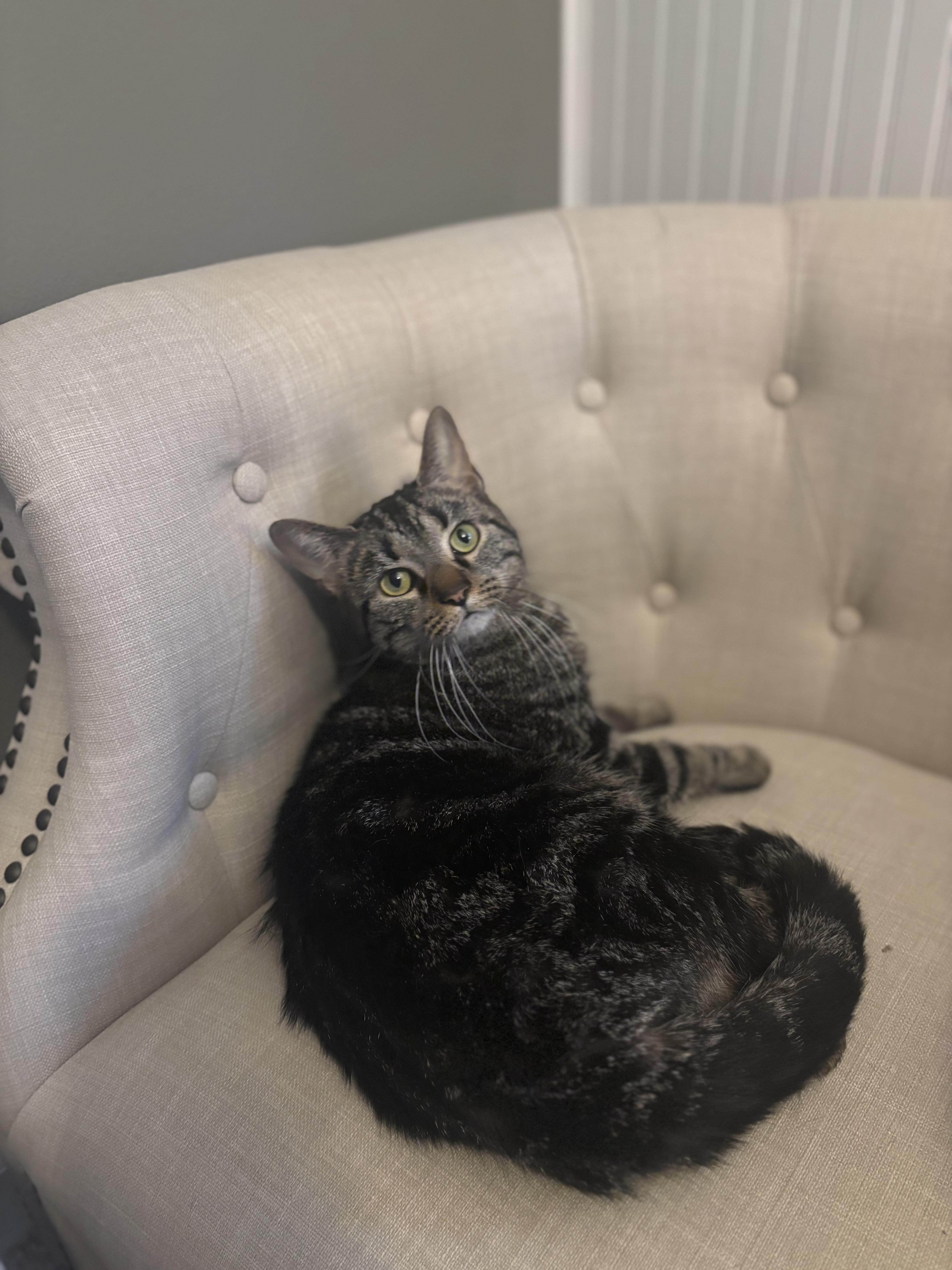 Speedy & Flipper thumbnail 6