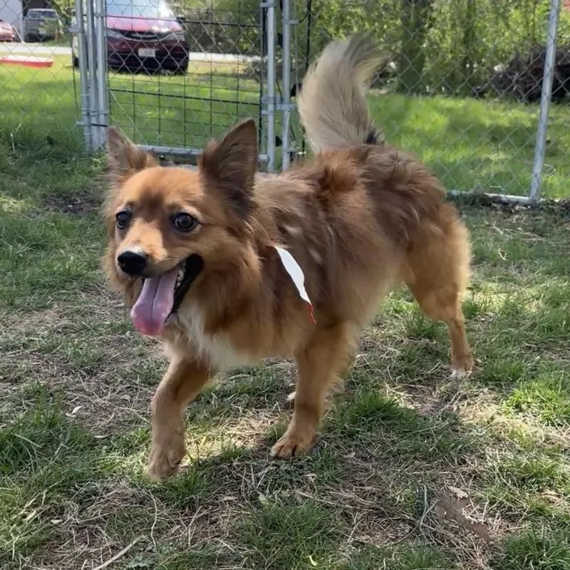 Small Fry thumbnail 2