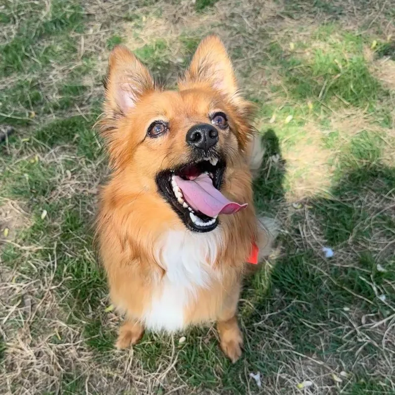 Small Fry thumbnail 4