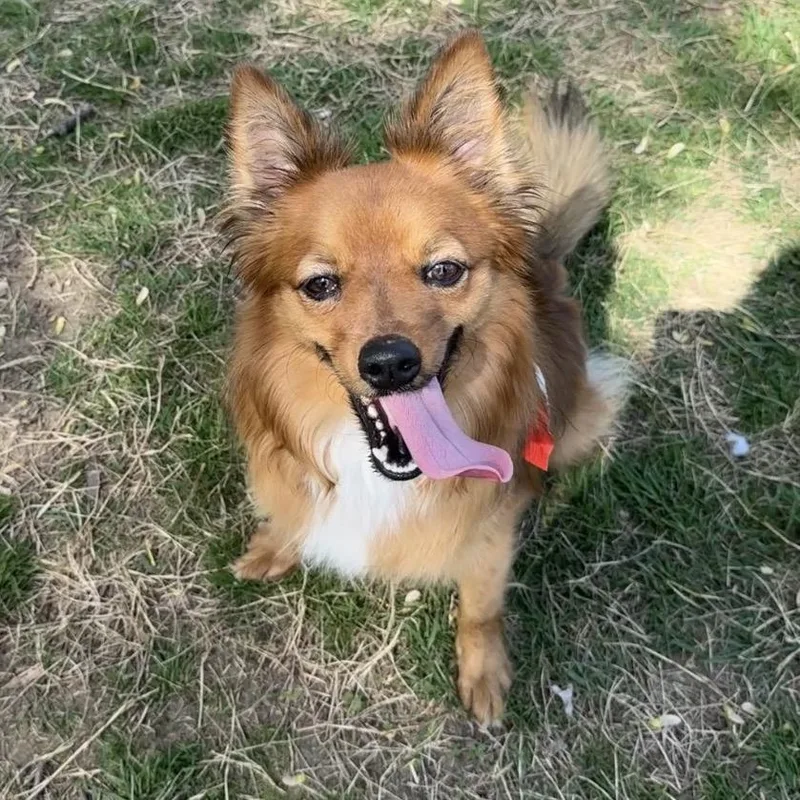 Small Fry thumbnail 5