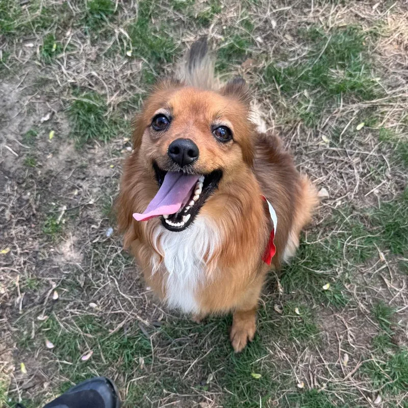 Small Fry thumbnail 6