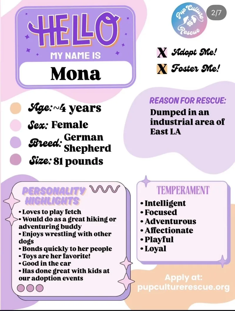 An adult large-sized female German Shepherd Dog dog named Mona for adoption in Pasadena, CA