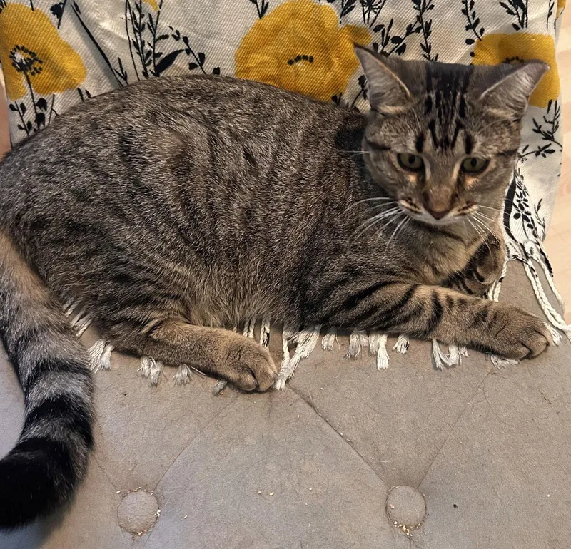 May Personalityplus thumbnail 2