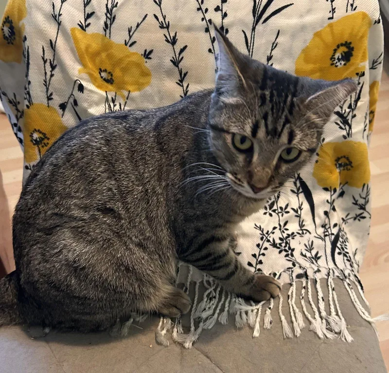 May Personalityplus thumbnail 3