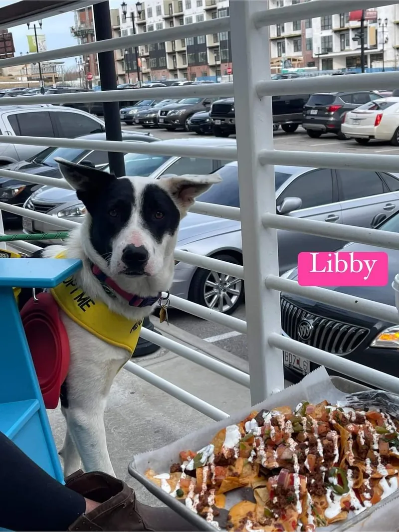 Libby thumbnail 6
