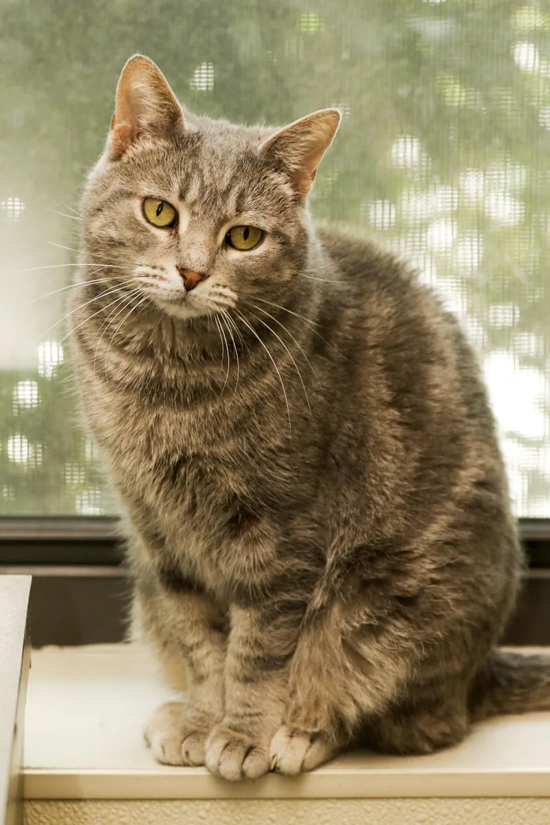 Freckles thumbnail 2