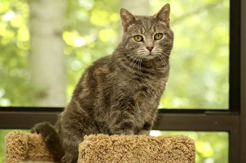 Freckles thumbnail 5