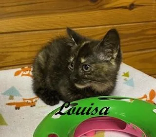 Louisa thumbnail 2