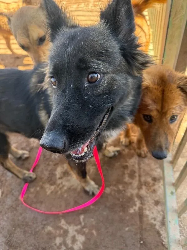 Emerald thumbnail 2
