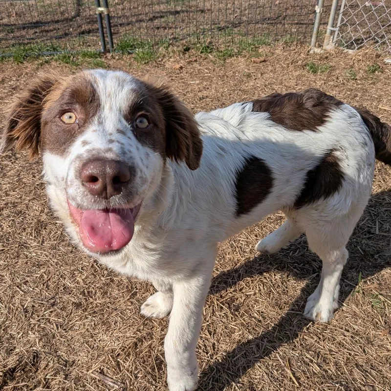 Sundance thumbnail 3