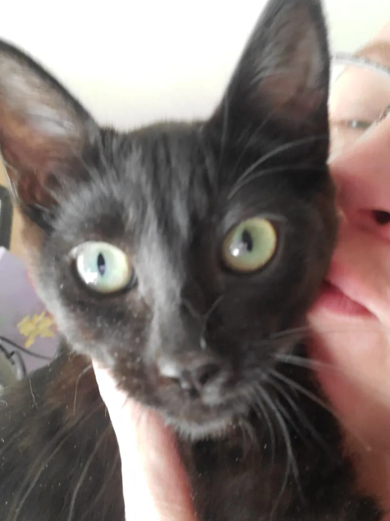 Frankie thumbnail 2