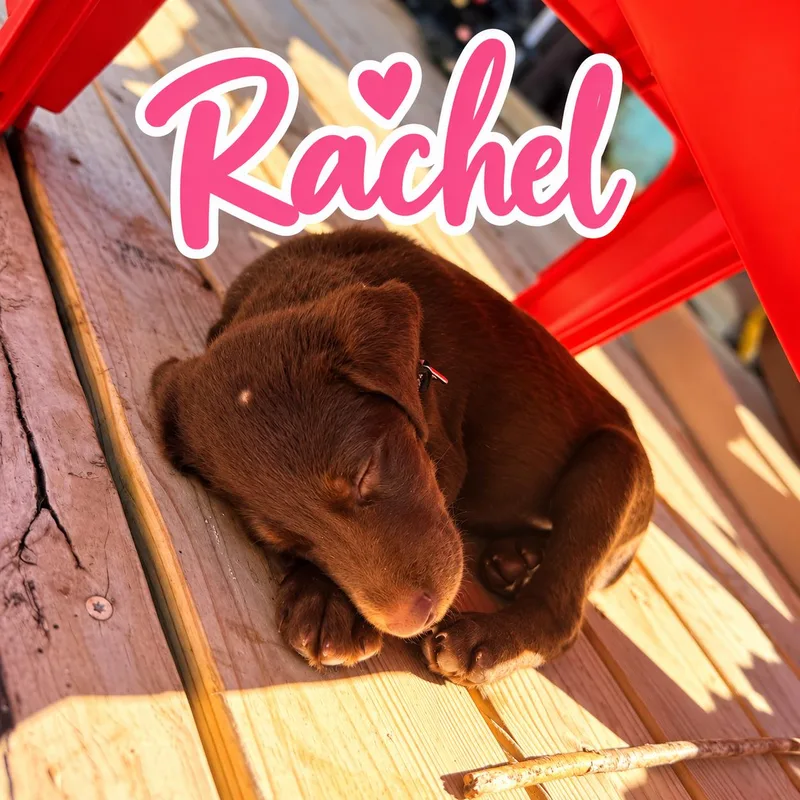 Rachel thumbnail 3