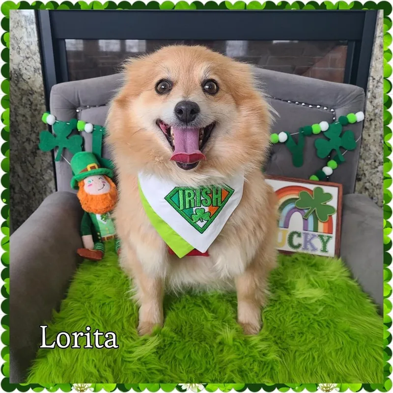 Lorita D thumbnail 5