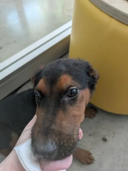 Charlize thumbnail 2