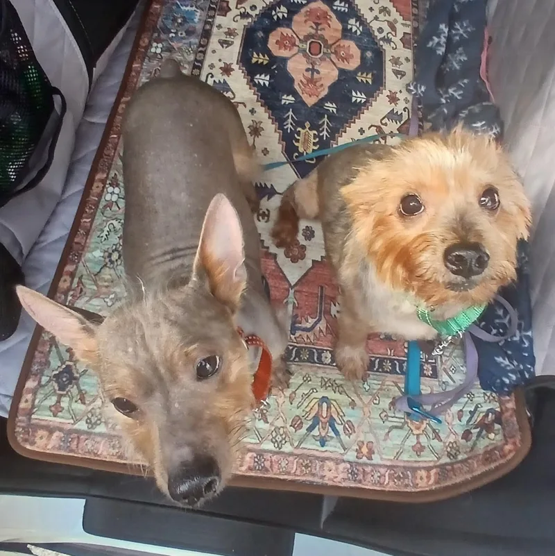Brandy & Joe thumbnail 2