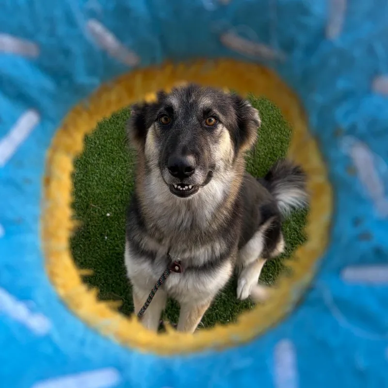 Stormi thumbnail 3