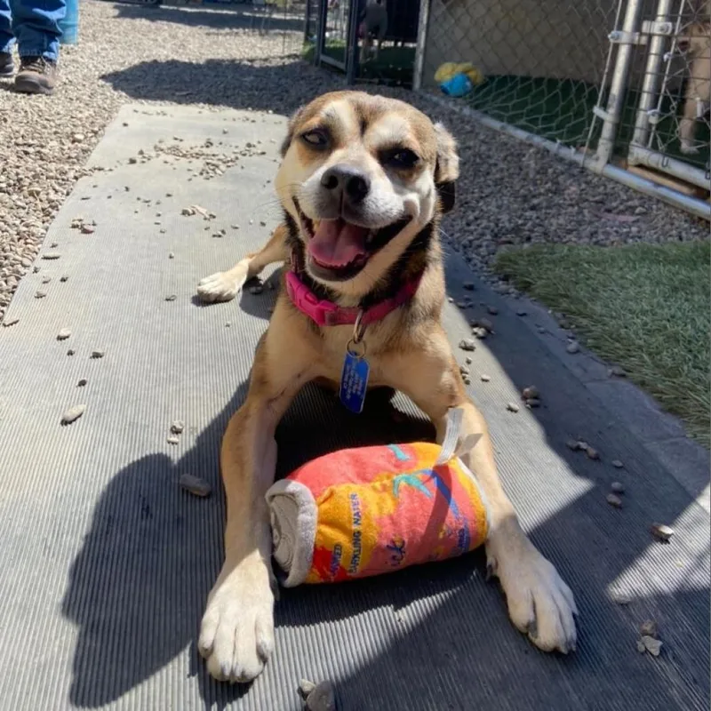 Sally May thumbnail 2