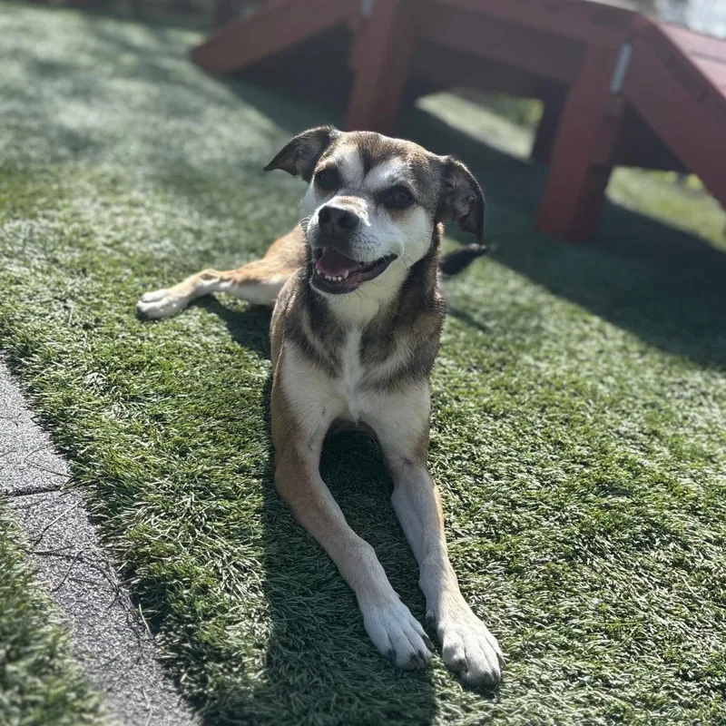 Sally May thumbnail 3