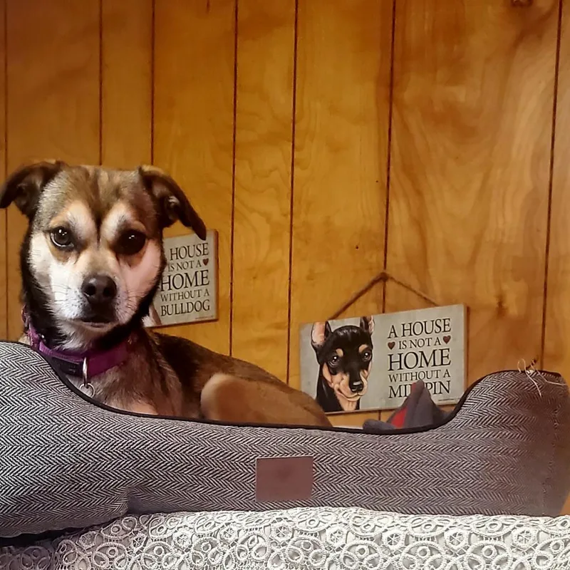 Sally May thumbnail 4